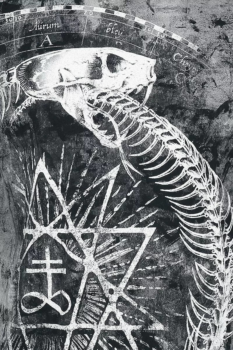 "Ouroboros Snake" T-shirt Zwart Van Alchemy England - Afbeelding 3