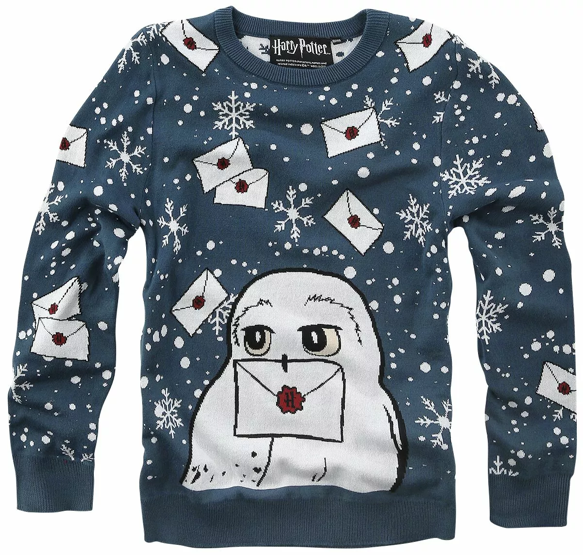 "Kids - Hedwig" Sweatshirt Blauw Van Harry Potter