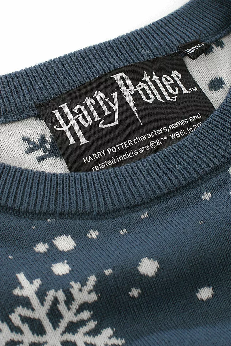 "Kids - Hedwig" Sweatshirt Blauw Van Harry Potter - Afbeelding 3