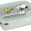 "Small Kids" Lunchbox Van Peanuts