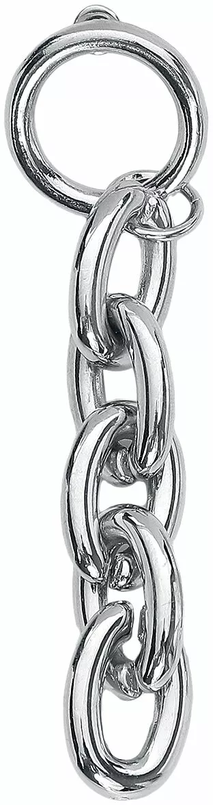 "Carabiner Chain" Oorbel Zilverkleurig Van Black Premium By EMP - Afbeelding 4