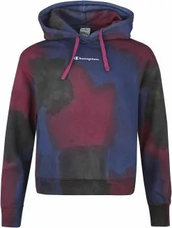 "Colour Story" Trui Met Capuchon Meerkleurig Van Champion