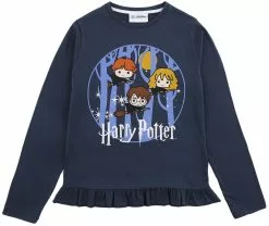 "Kids - Chibi" Longsleeve Blauw Van Harry Potter