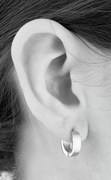 "Stainless Steel Creoles" Oorbel Zilverkleurig Van EtNox - Afbeelding 2